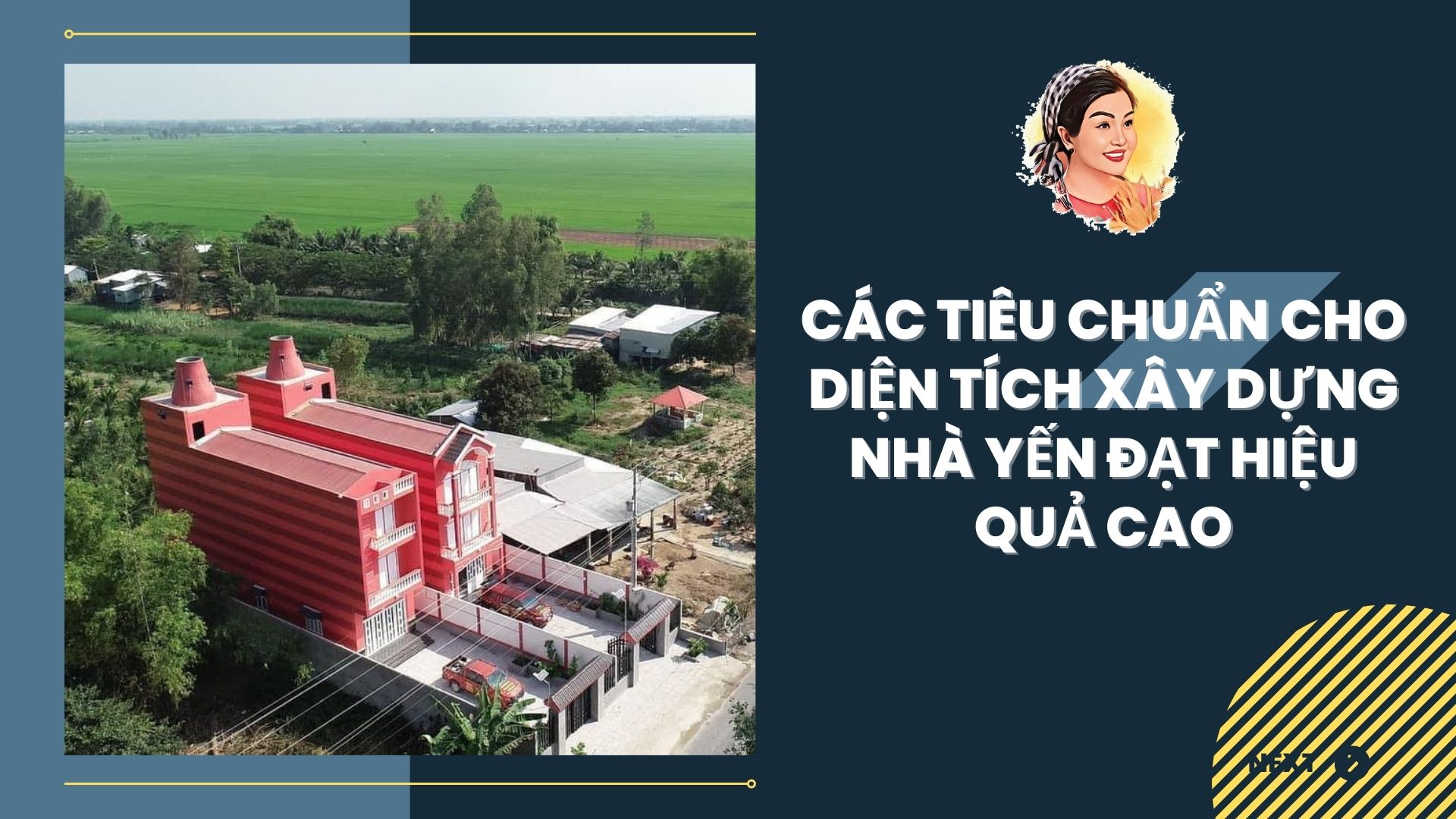 CÁC TIÊU CHUẨN CHO DIỆN TÍCH XÂY DỰNG NHÀ YẾN ĐẠT HIỆU QUẢ CAO