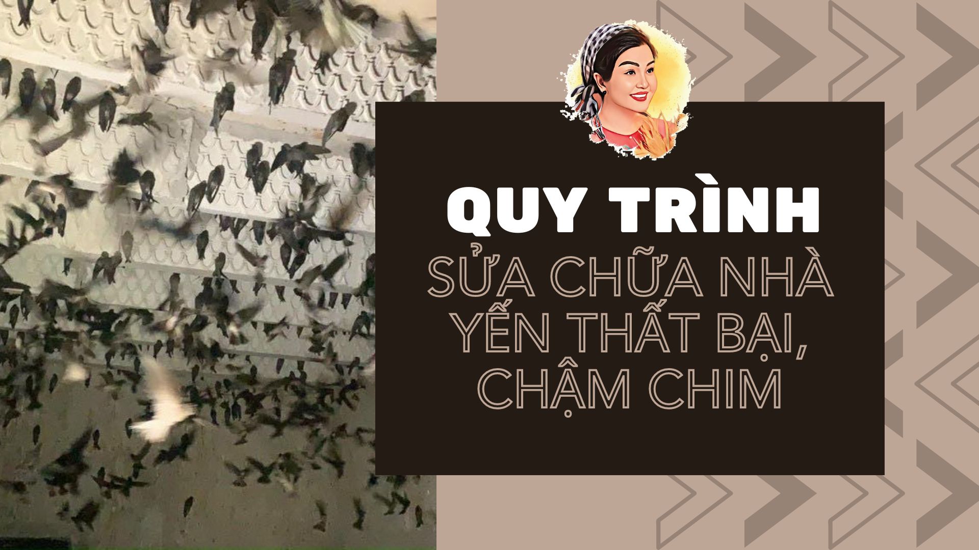 QUY TRÌNH SỬA CHỮA NHÀ YẾN THẤT BẠI, CHẬM CHIM