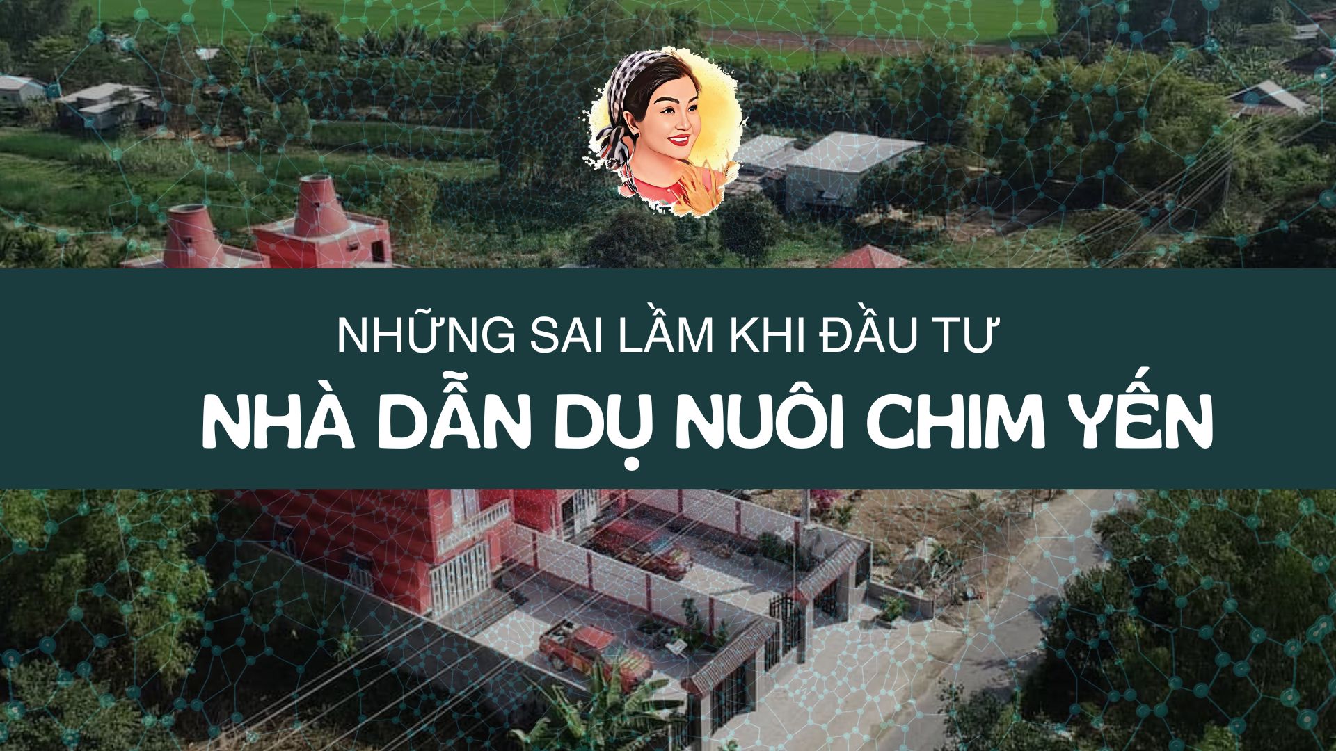 NHỮNG SAI LẦM KHI ĐẦU TƯ NHÀ DẪN DỤ NUÔI CHIM YẾN