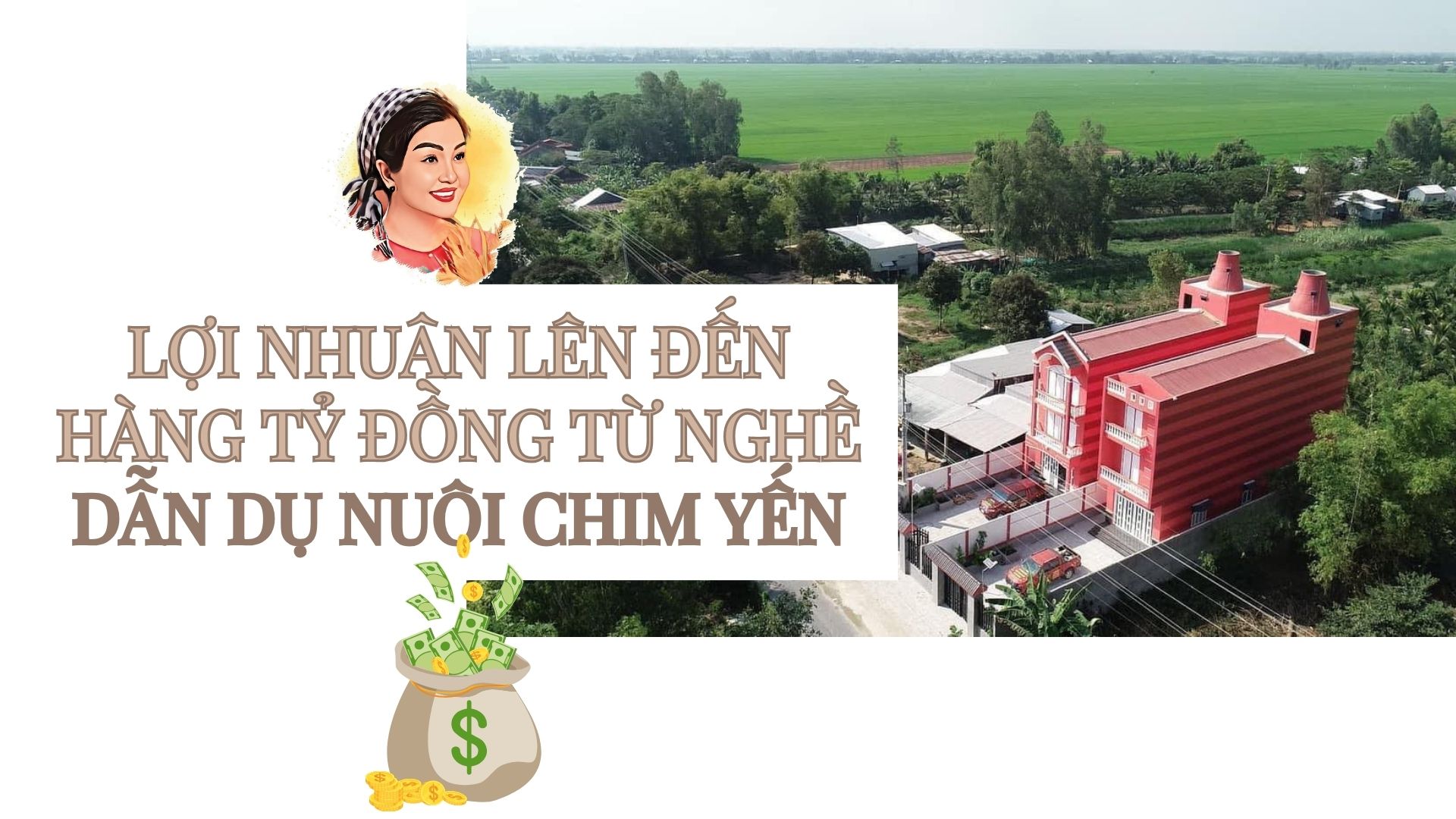 LỢI NHUẬN LÊN ĐẾN HÀNG TỶ ĐỒNG TỪ NGHỀ DẪN DỤ NUÔI CHIM YẾN