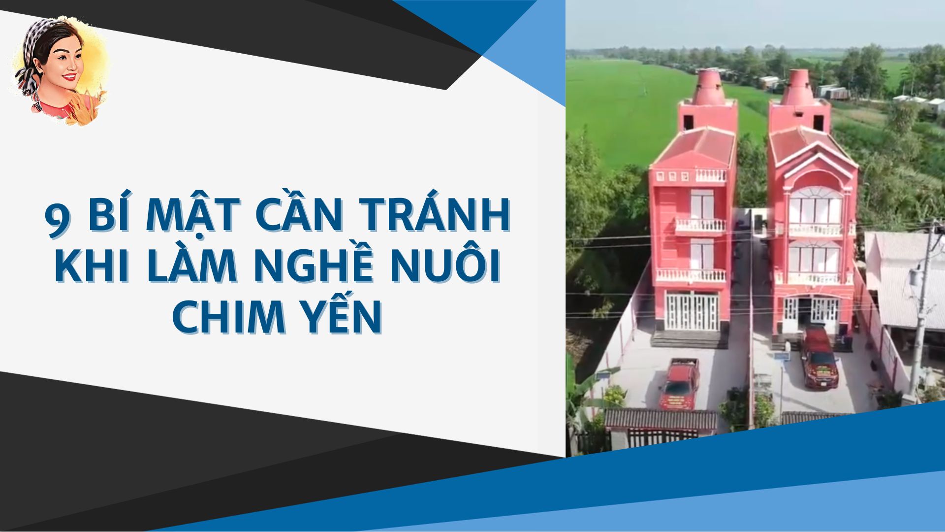 9 BÍ MẬT CẦN TRÁNH KHI LÀM NGHỀ NUÔI CHIM YẾN