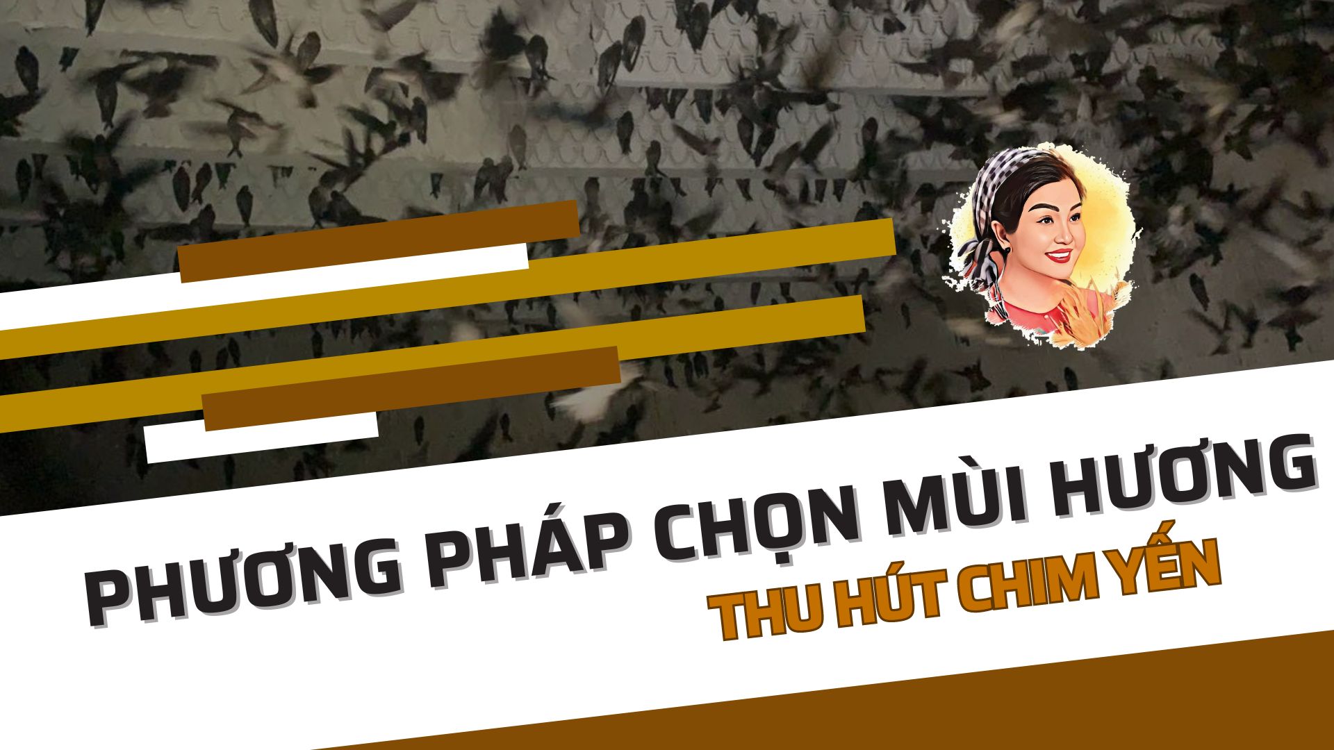 PHƯƠNG PHÁP CHỌN MÙI HƯƠNG THU HÚT CHIM YẾN