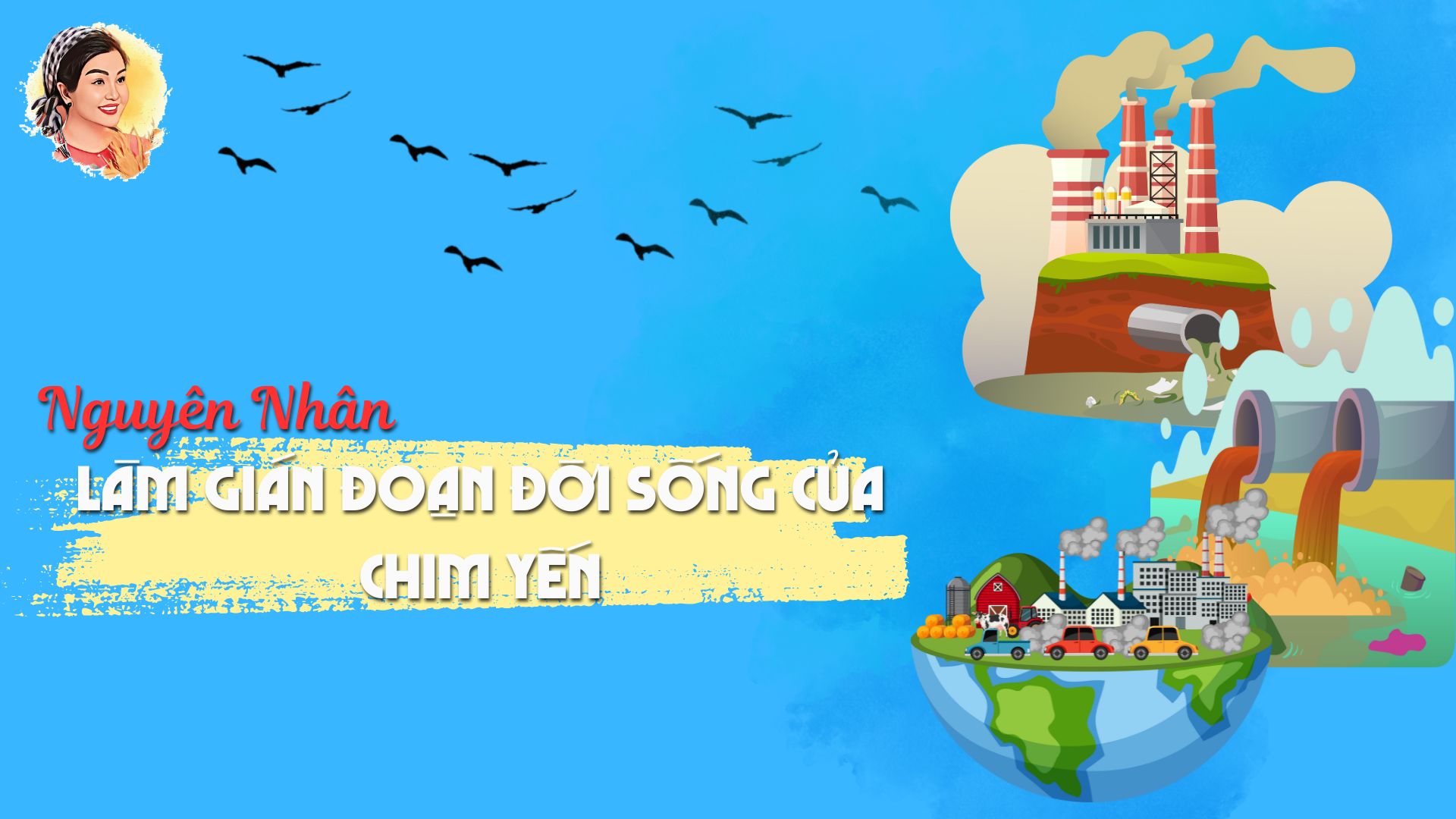 NGUYÊN NHÂN LÀM GIÁN ĐOẠN ĐỜI SỐNG CỦA CHIM YẾN