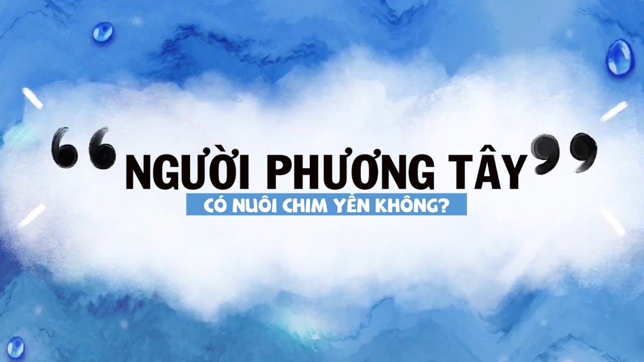 Người phương tây có nuôi yến không?