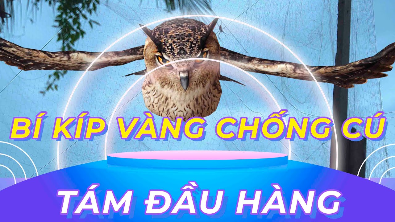 “BÍ KÍP VÀNG” TIÊU DIỆT LOÀI CÚ