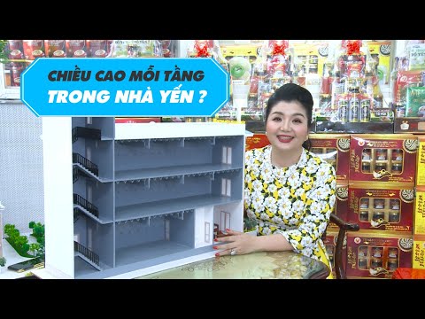 Nhà yến nên xây mấy tầng - và chiều cao mỗi tầng Nhà Nuôi chim yến ?