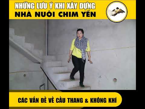 Những lưu ý khi xây dựng cầu thang trong nhà nuôi chim yến