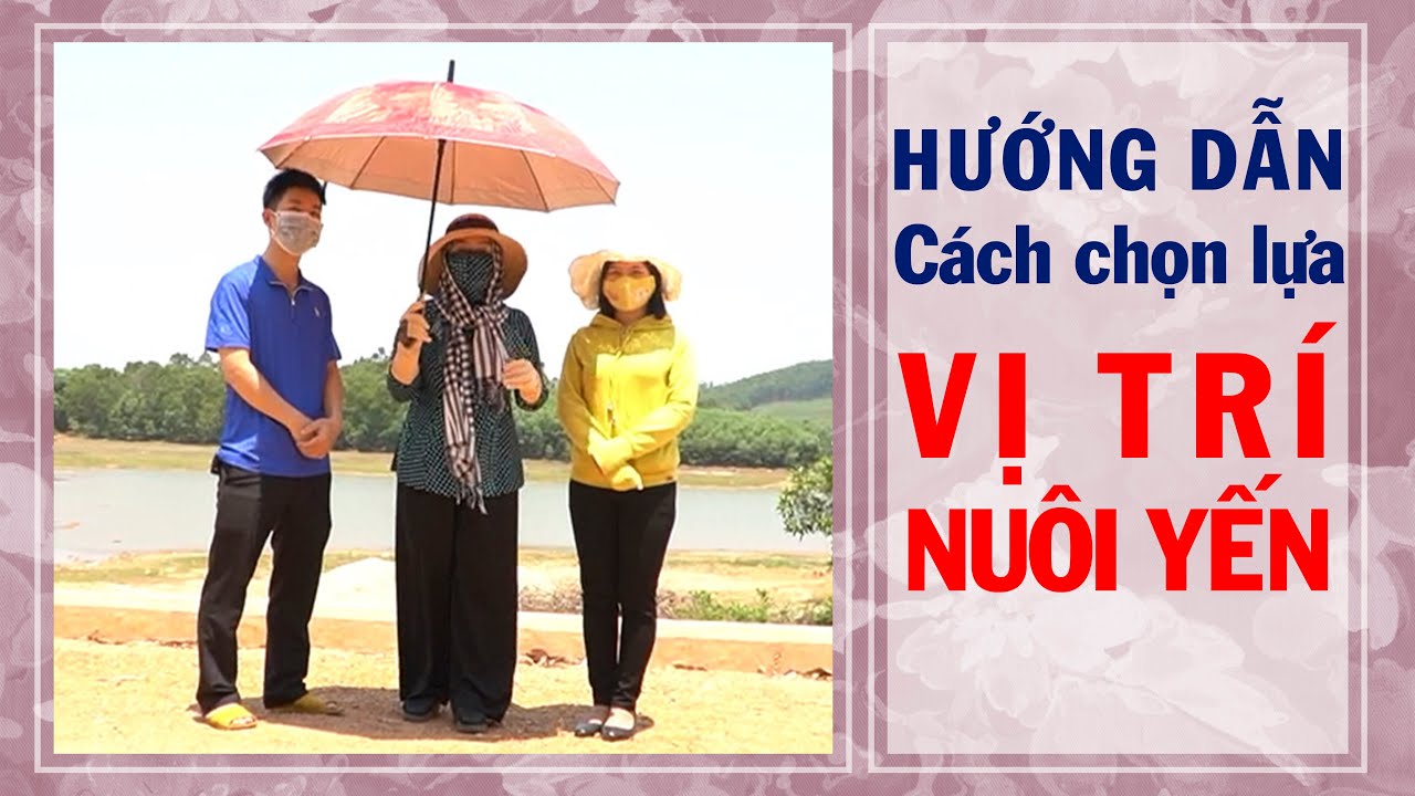 Cách nhận biết Vị trí có thể Nuôi chim yến không ?