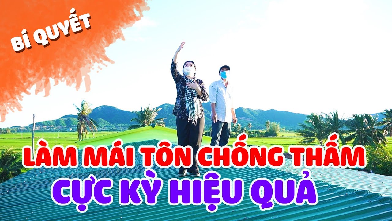 Bí quyết chống thấm cho mái tôn nhà yến hiệu quả