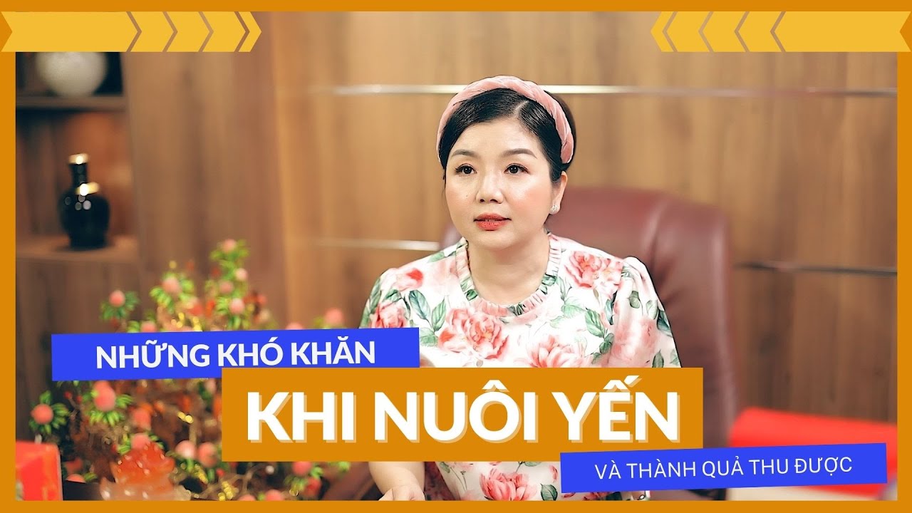 Những khó khăn khi nuôi yến và thành quả thu được