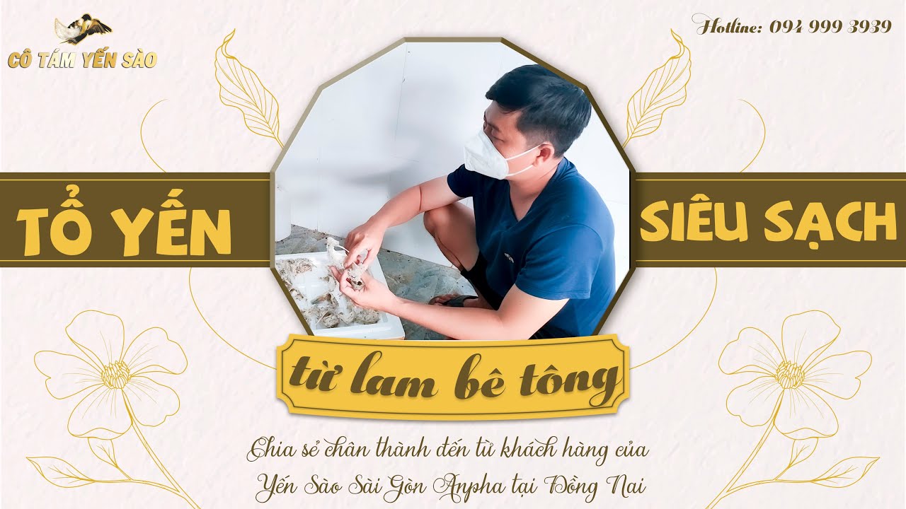 TỔ YẾN SIÊU SẠCH TỪ LAM BÊ TÔNG