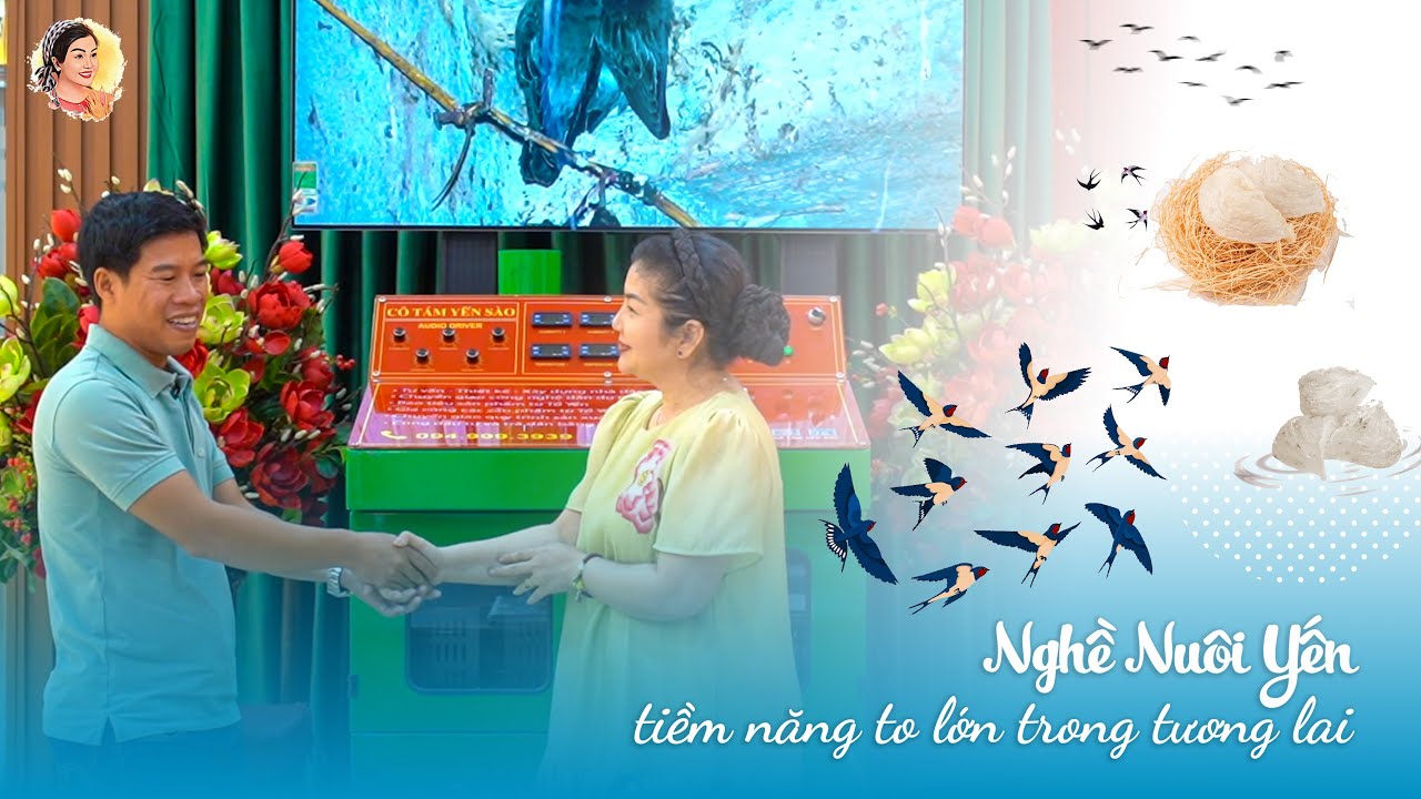 "NGHỀ NUÔI YẾN" tiềm năng to lớn trong tương lai