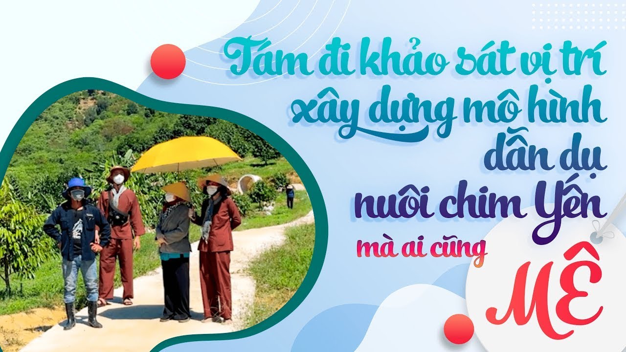 Tám đi khảo sát vị trí xây dựng mô hình dẫn dụ nuôi chim Yến mà ai cũng Mê