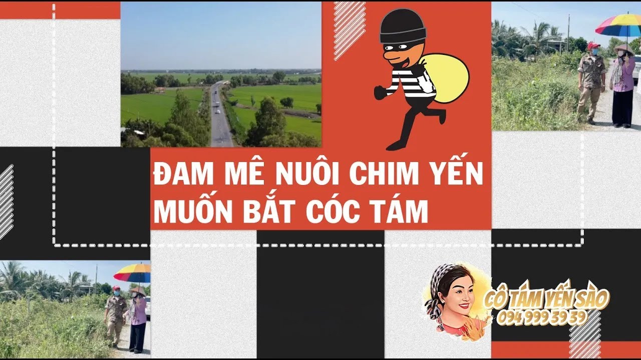 Đam mê nuôi chim yến đến muốn bóc cóc Tám về