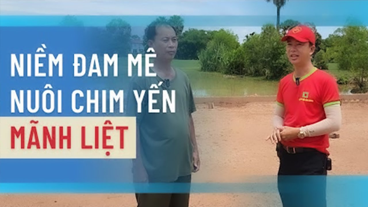 Anh Khách với niềm đam mê nuôi chim yến mãnh liệt