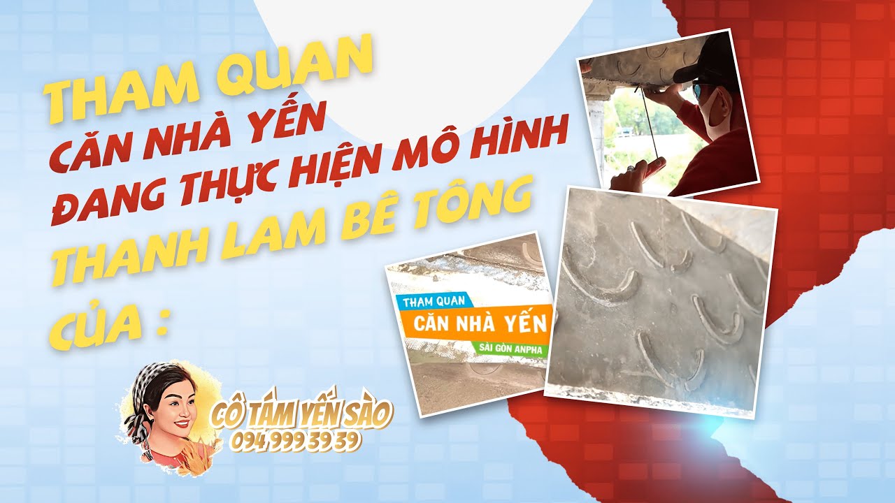 Cô Tám Yến Sào người giữ bí quyết thực hiện mô hình thanh lam bê tông đạt hiệu quả tuyệt đối.