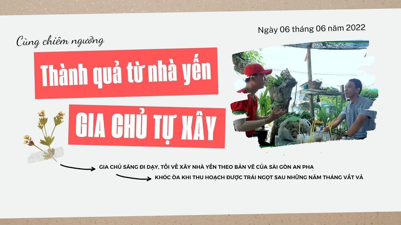 Chiêm ngưỡng thành quả từ nhà yến gia chủ tự xây dựng