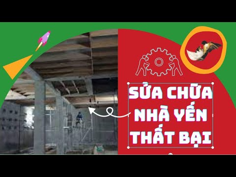 Sửa chữa nhà yến sau 1 năm bị thất bại