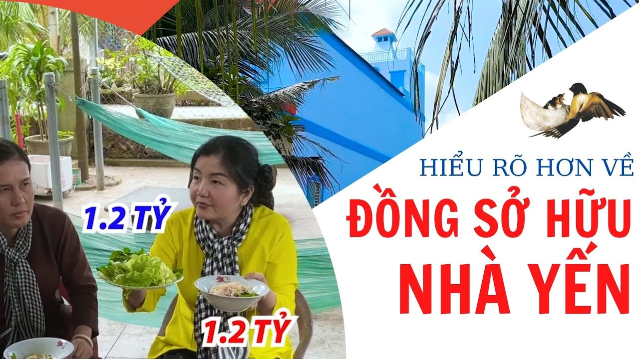 Cô Tám Yến Sào - Hiểu rõ hơn về đồng sở hữu nhà yến