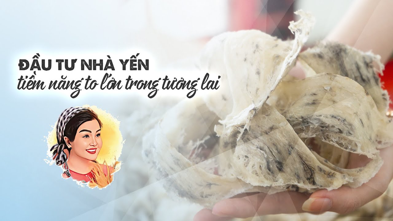 ĐẦU TƯ NHÀ YẾN - TIỀM NĂNG TO LỚN TRONG TƯƠNG LAI