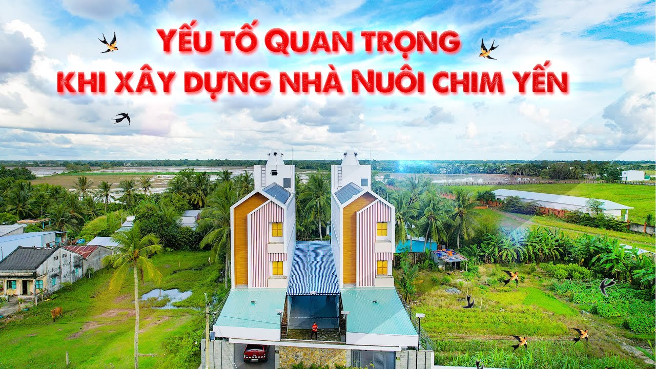 YẾU TỐ QUAN TRỌNG KHI XÂY DỰNG NHÀ NUÔI CHIM YẾN