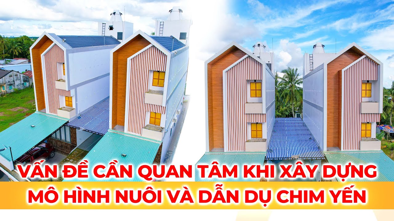 VẤN ĐỀ CẦN QUAN TÂM KHI XÂY DỰNG MÔ HÌNH NUÔI VÀ DẪN DỤ CHIM YẾN