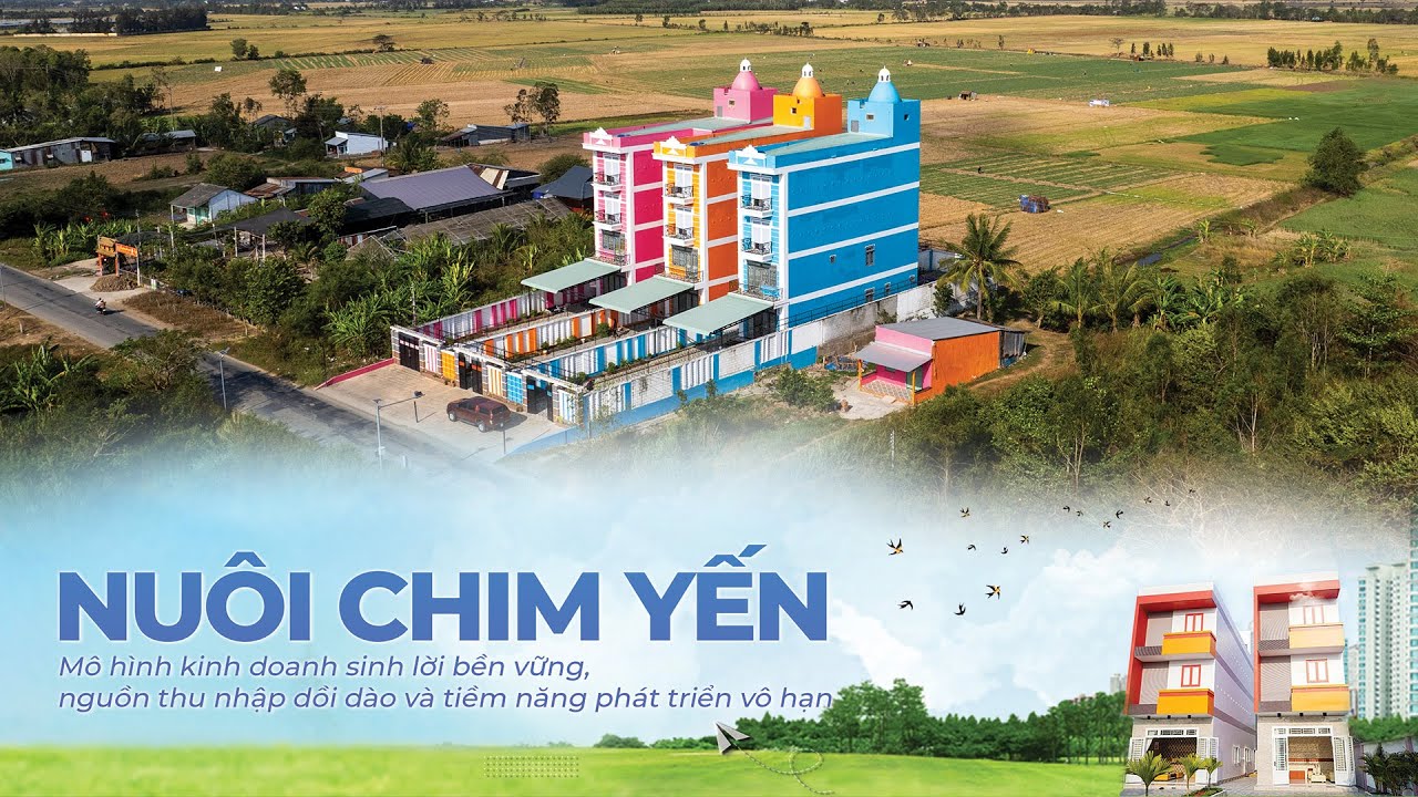 NUÔI CHIM YẾN - Mô Hình Kinh Doanh Sinh Lời Bền Vững